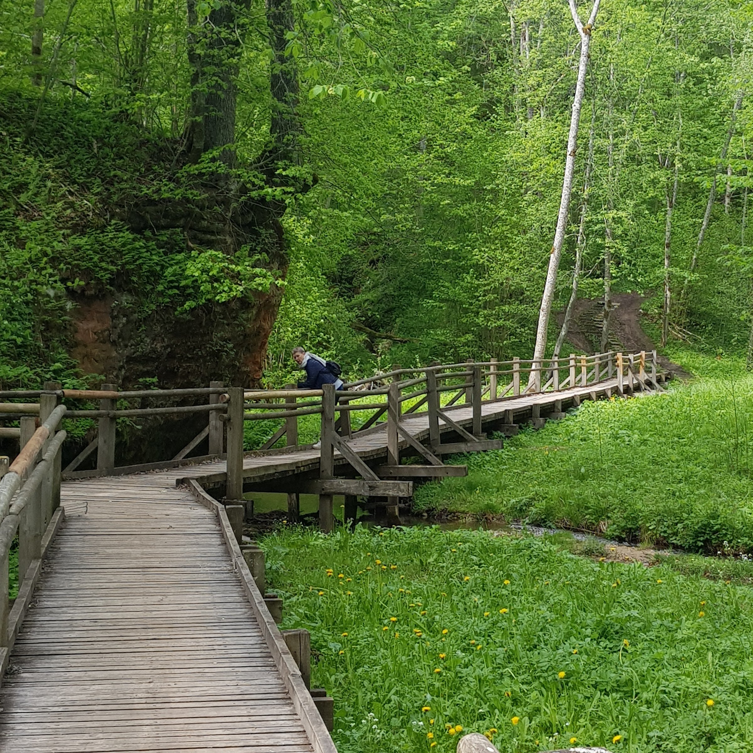 Gutman's Cave (Gūtmaņa ala)